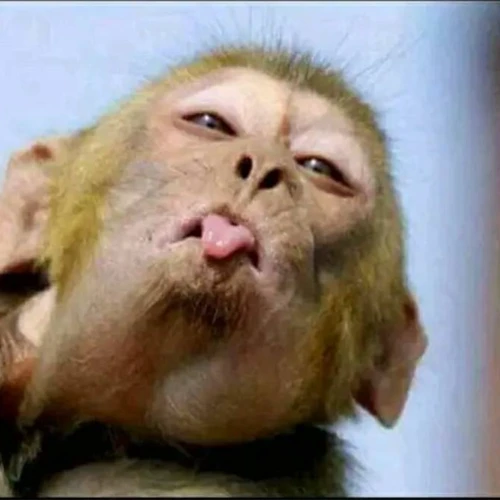 Tamira ke delapan Hehe